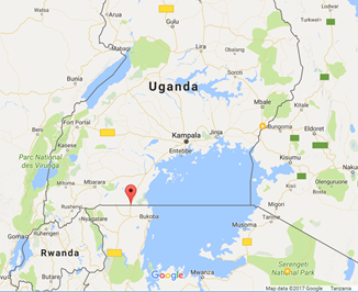 2.3.10 Tanzania Border Crossing of Mutukula (Uganda) | Digital ...